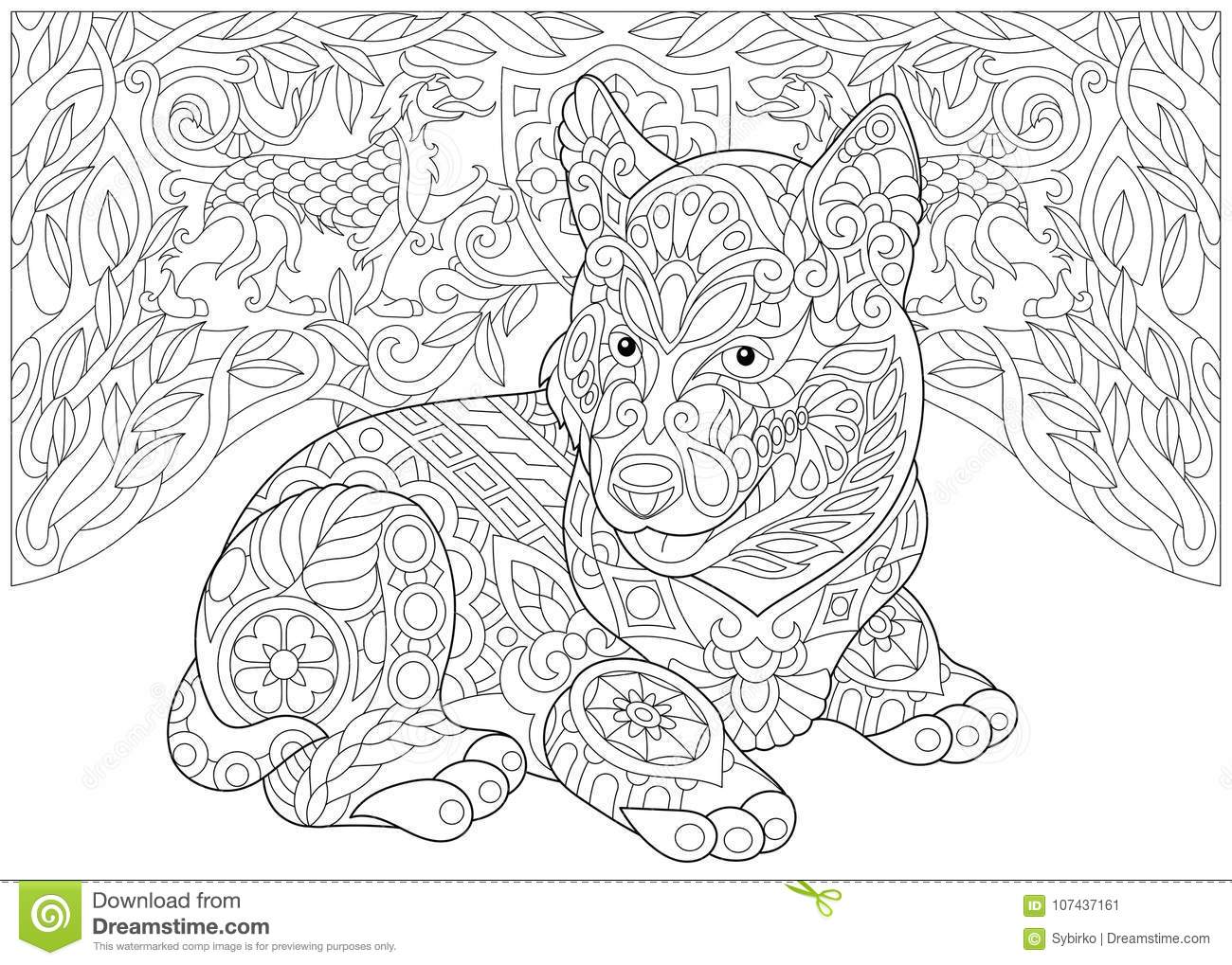 Husky kolorowanki